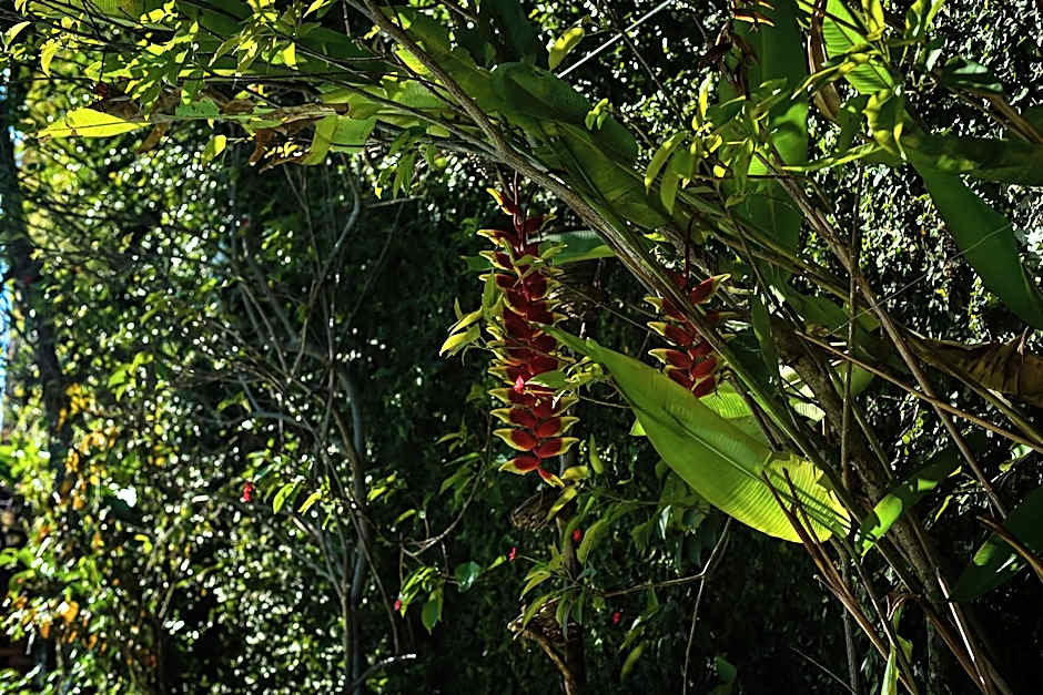 Hosteria Chata Adults Only