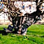 Parco Ducale Country House