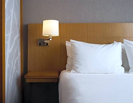 King Room with Sofa Bed and Roll-in Shower - High Floor/Disability Access