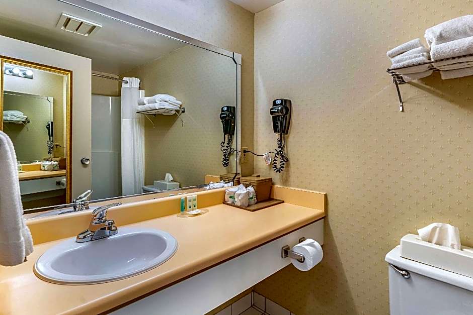 Quality Hotel & Suites
