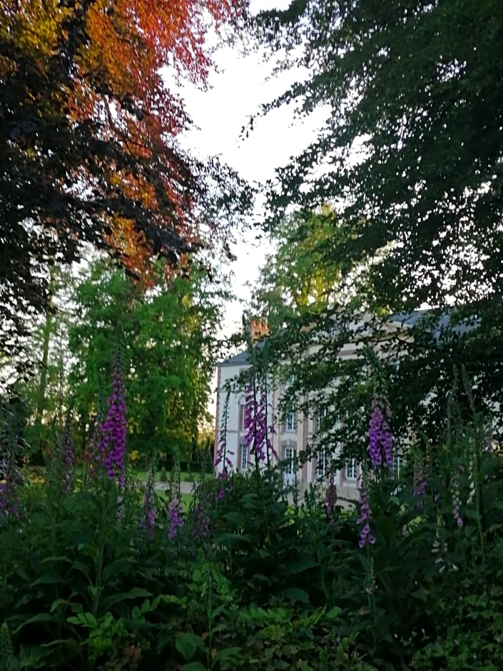 Chambre E André Le Domaine Des Jardins De Bracquetuit