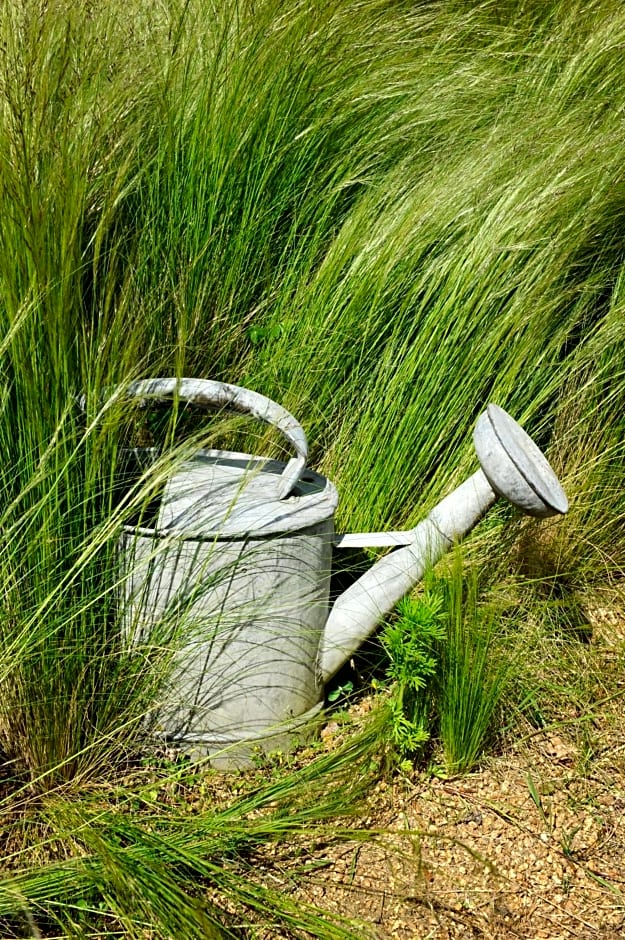 Les gites de Kerégal - la cabane de Charlotte