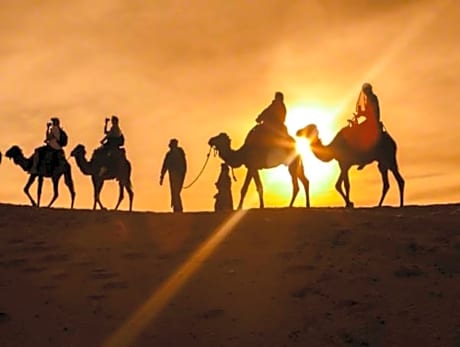Sahara Peace