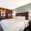 Hampton Inn By Hilton Detroit/Northville