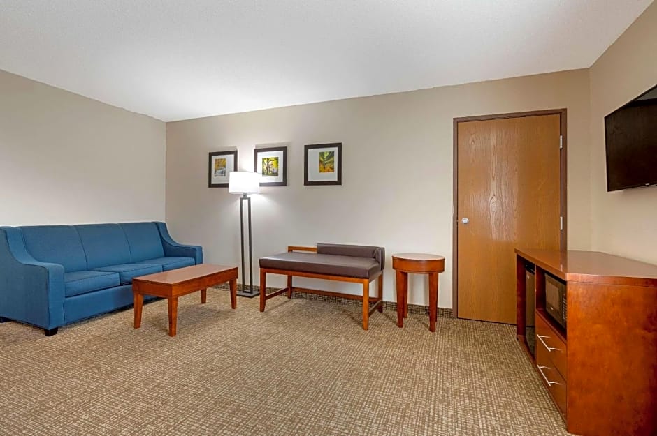 Comfort Inn Anderson South