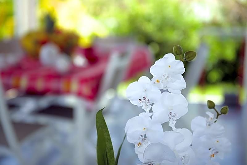 Village de la Princesse