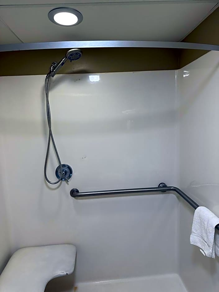 Rodeway Inn Stone Mountain