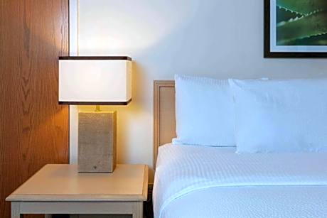 Deluxe King Room with Sofa Bed - Non-Smoking