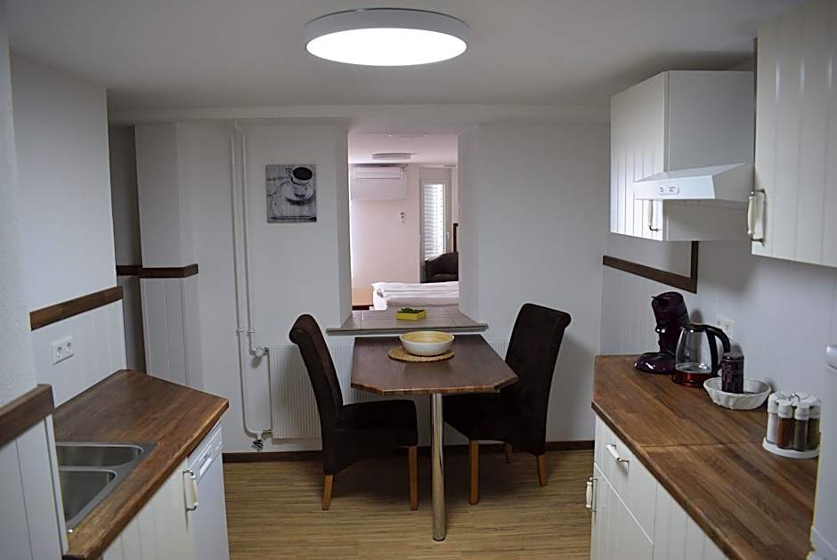 Apartments mit Klimaanlage am Neckarufer, Schöne Aussicht