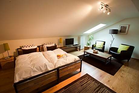 Double or Twin Room with Private Bathroom