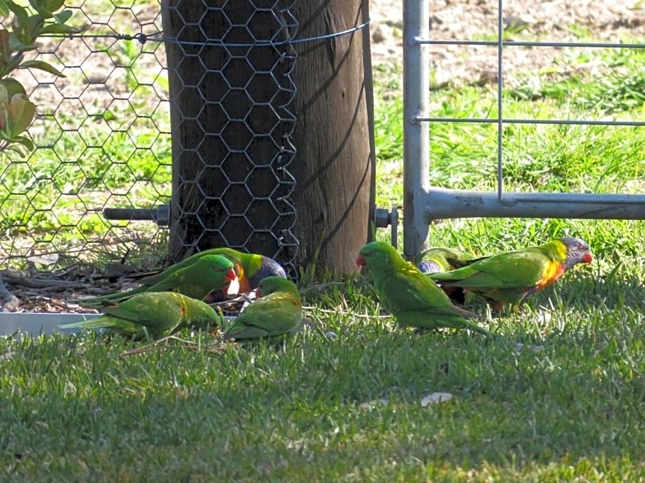 Mala Retreat Chardonnay Studio Immaculate and Comfortable