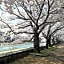 Kanazawa - Hotel / Vacation STAY 79484
