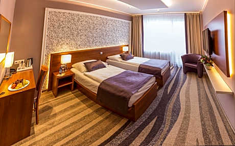 Premium Double or Twin Room with Access to public Relax Center