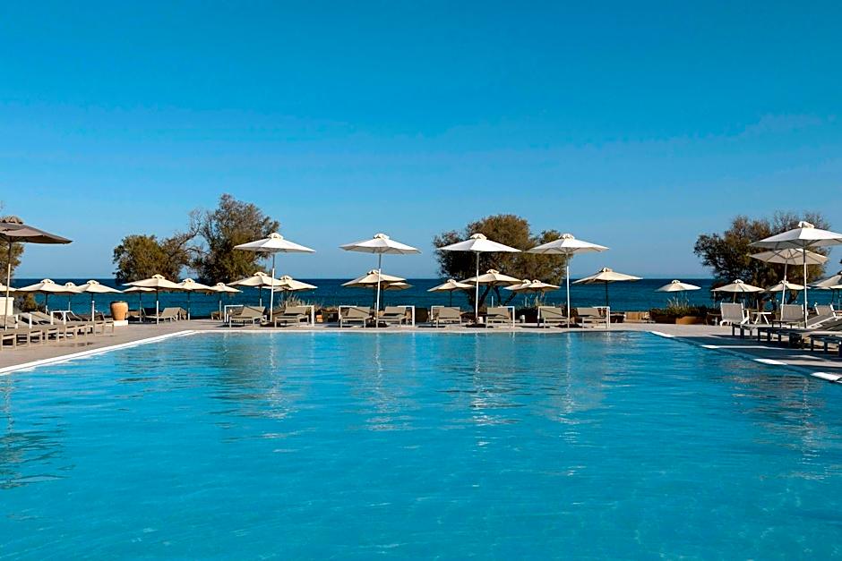 Domes Aulus Zante, Autograph Collection