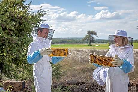 Viatura Omún, San Miguel de Allende, with Optional All Inclusive