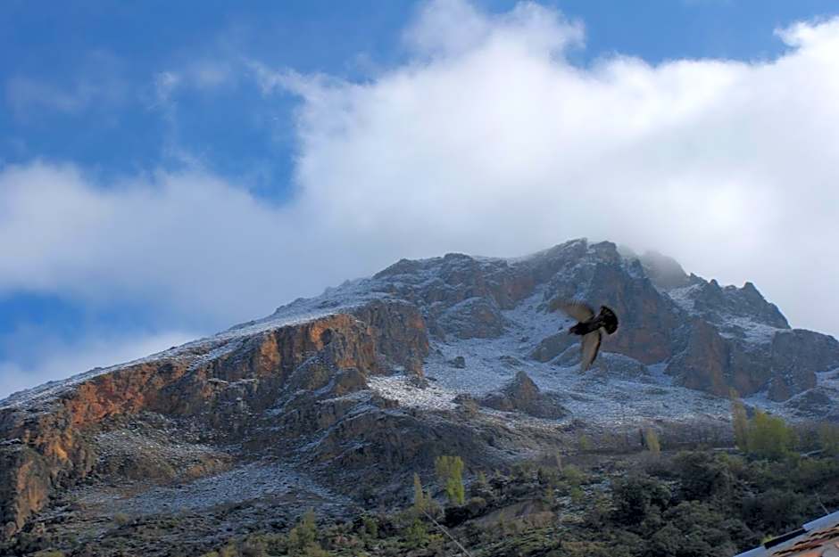 Hotel Juan Francisco