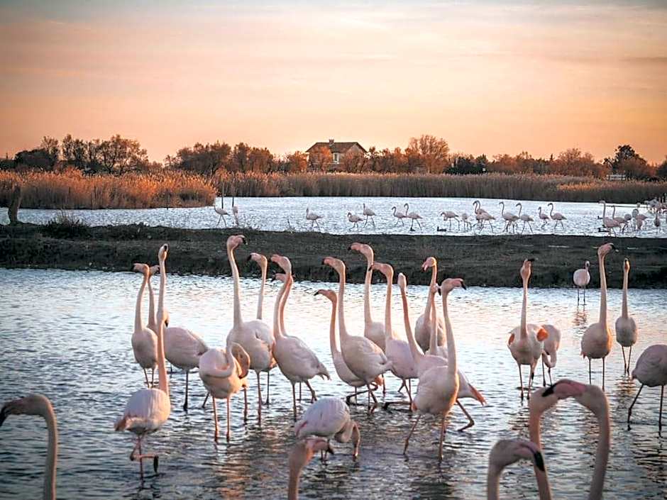 APPART'ICI 2 - Spacieux studio