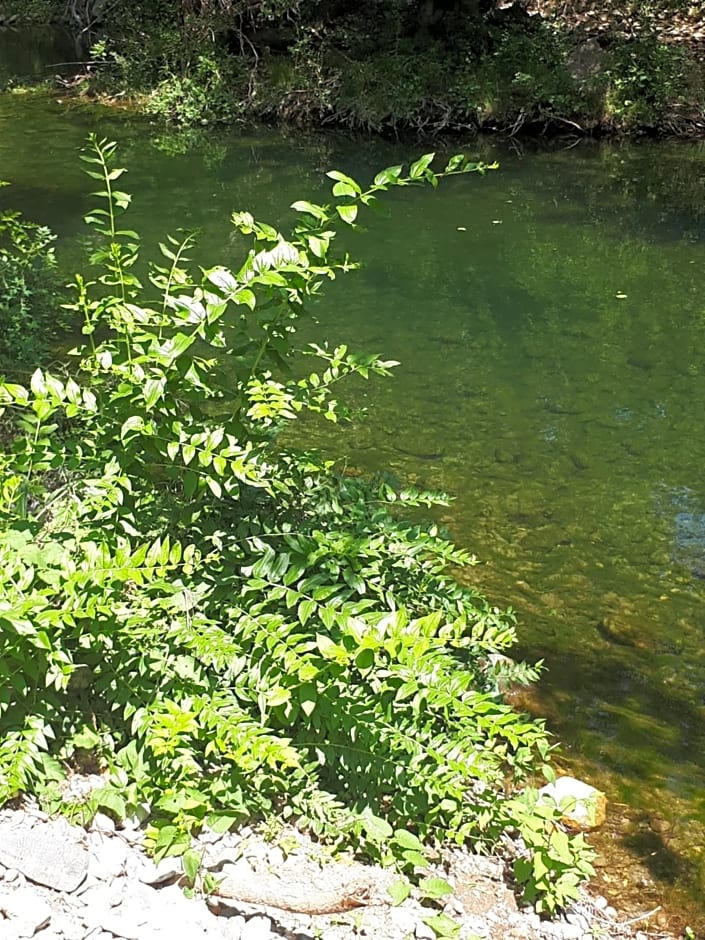 Chambres d hôtes Le clos des vins d anges