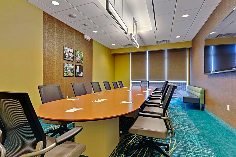SpringHill Suites by Marriott Baton Rouge Gonzales