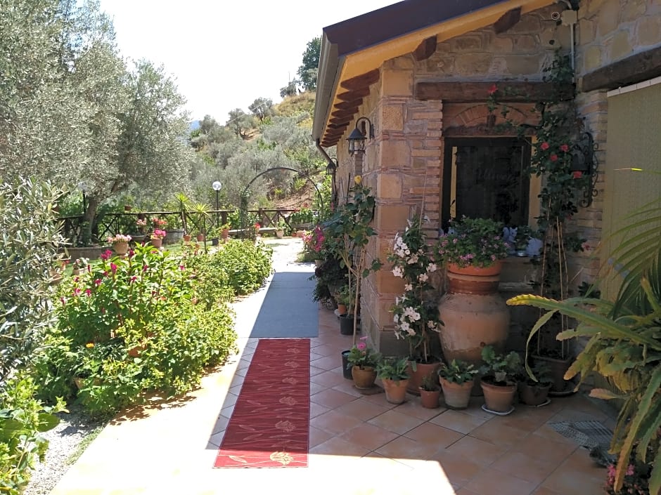 Agriturismo L'Uliveto