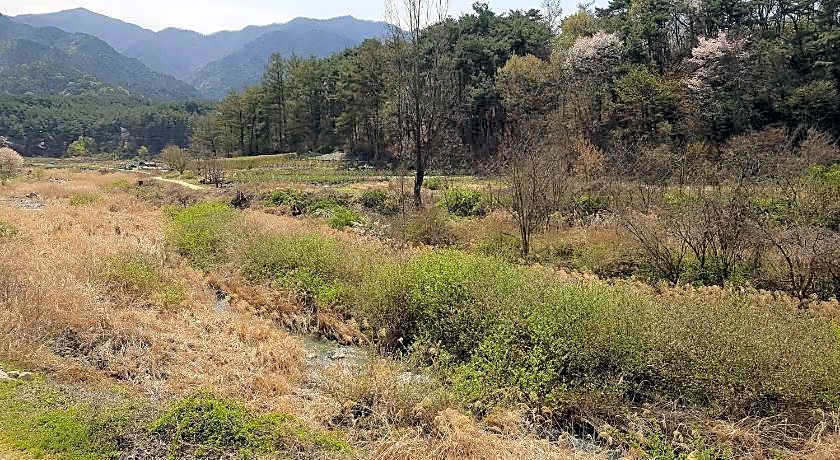 Namwon Hotel