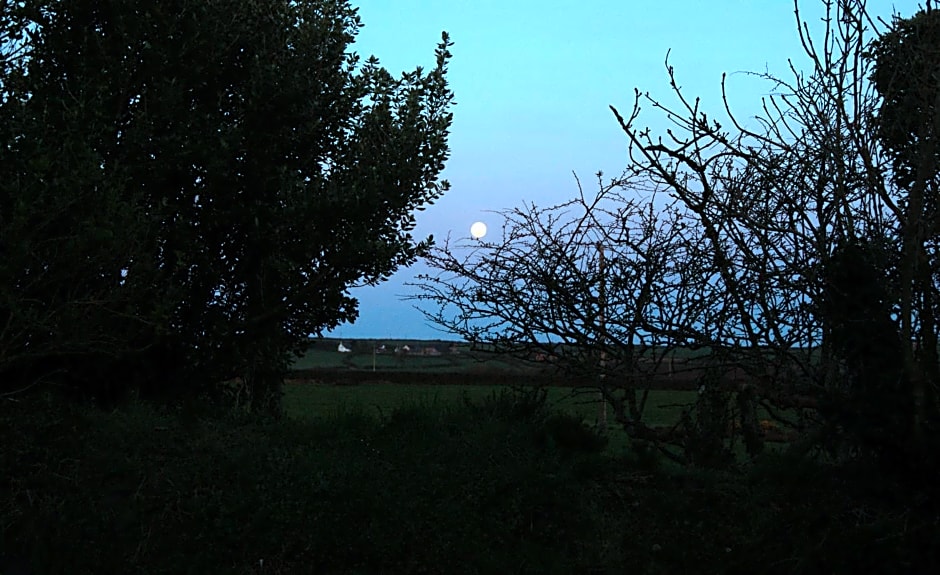 The Old Smithy Bed & Breakfast