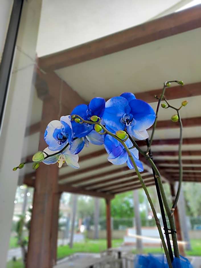Oasi Park Hotel