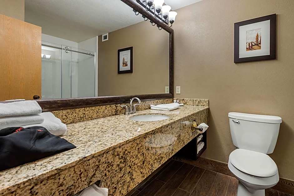 Comfort Suites near Route 66