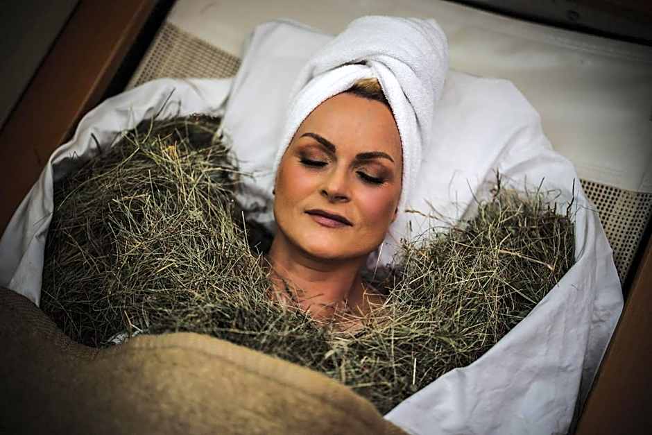 Hotel Alte Mühle 4 Stelle