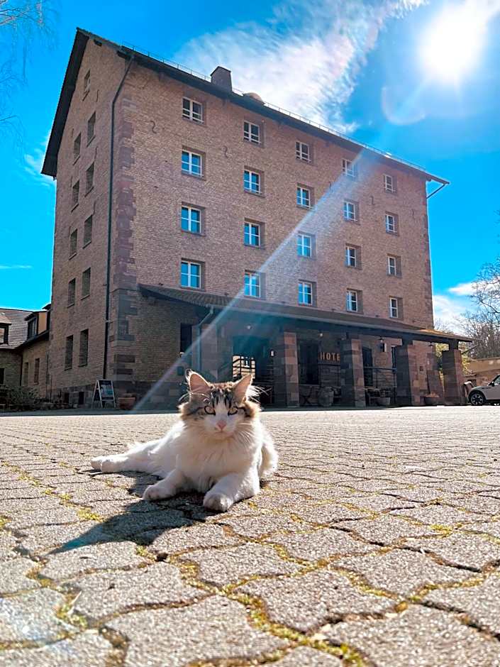 Le Moulin De La Wantzenau - Strasbourg Nord
