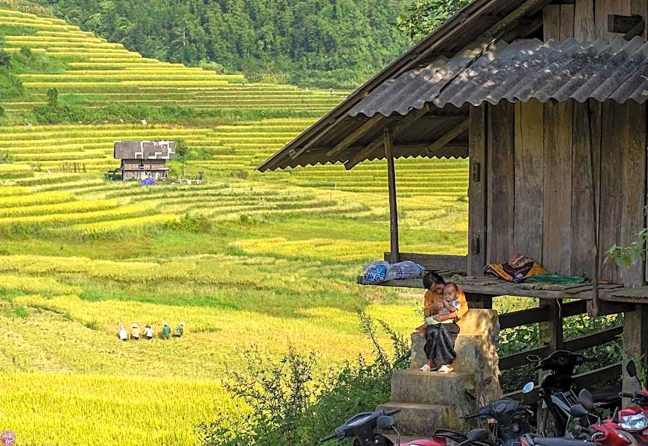 Regal Sapa Hotel