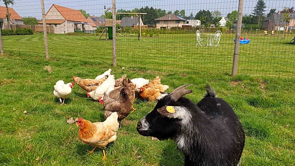 B&B 't Meesterhof