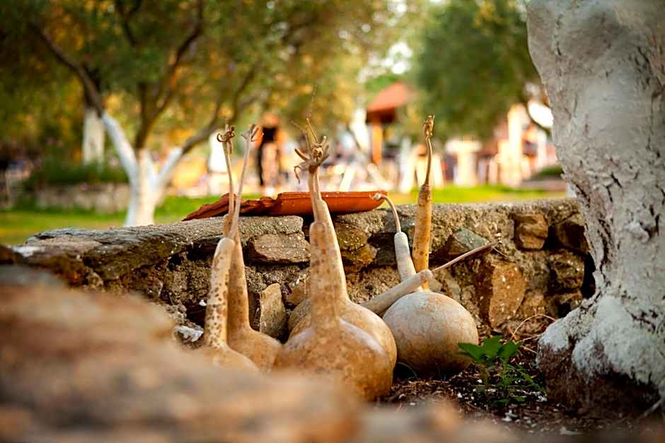 Haus Risos Next Generation