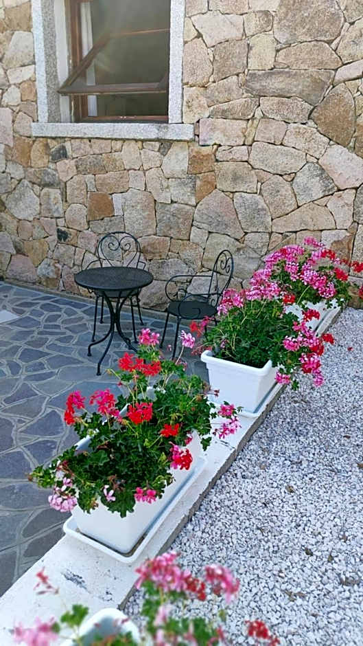 casa l'Ulivariu affittacamere