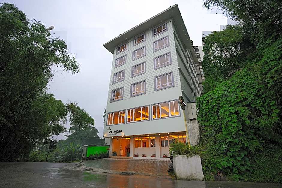 Cilantro Comfort – Gangtok, OK