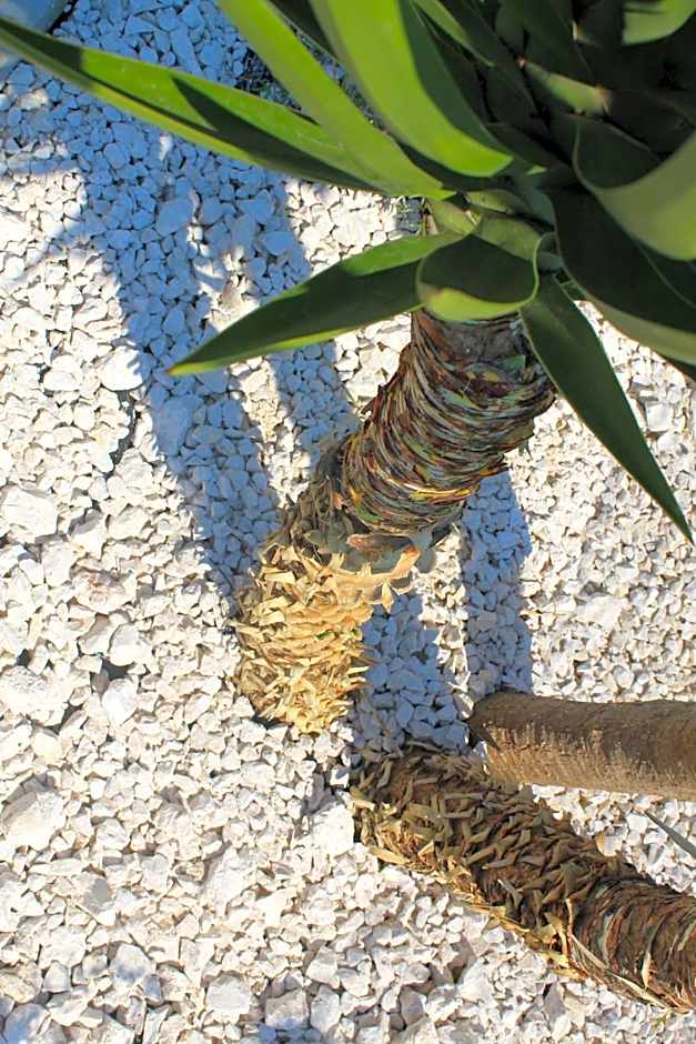 B&B Palazzo Manfredi Vieste, Fronte mare con Parcheggio