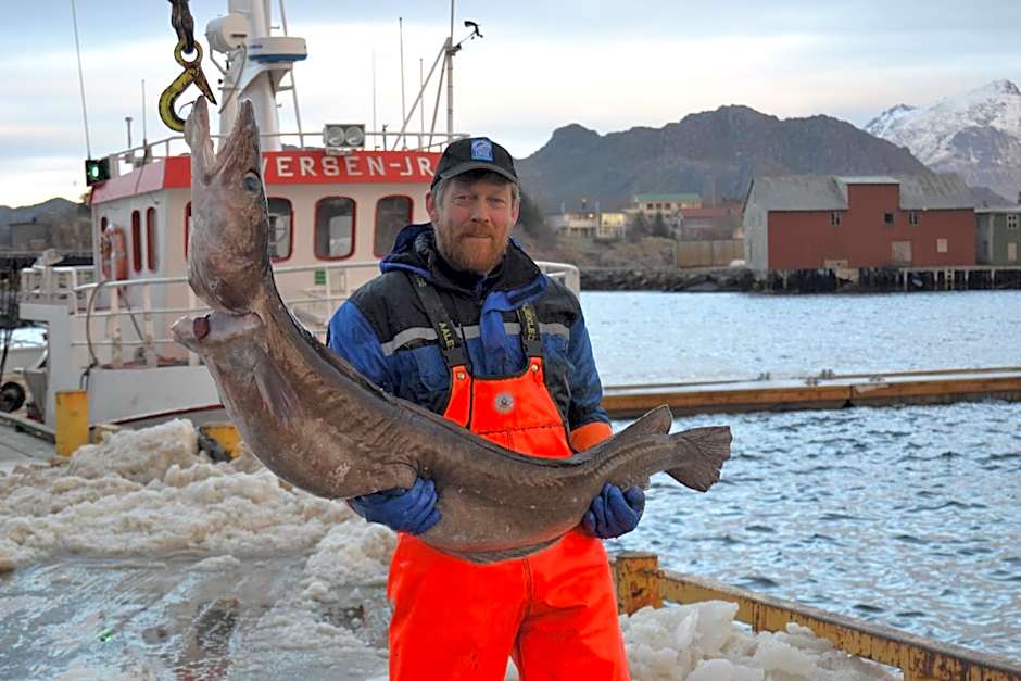 Sjøstrand Rorbuer