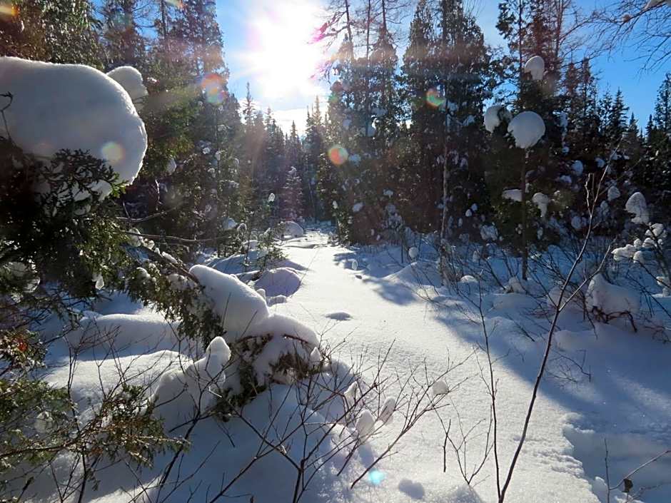 Résidence touristique Lodge des Bois