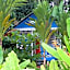 Hotel Casitas Mar y Luz