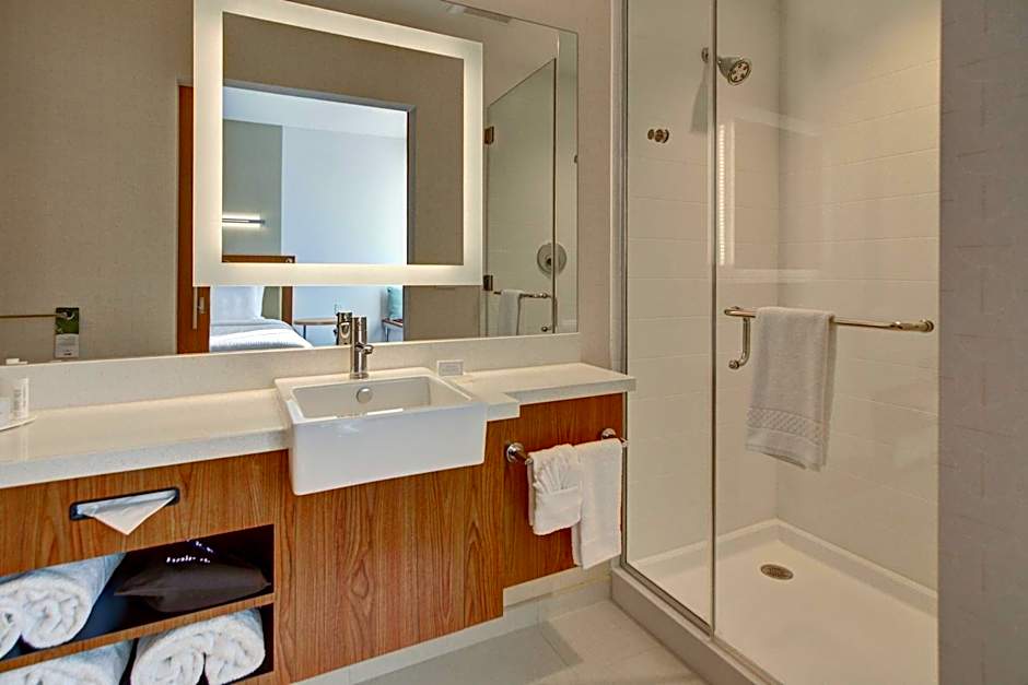 SpringHill Suites by Marriott Dallas Plano/Frisco