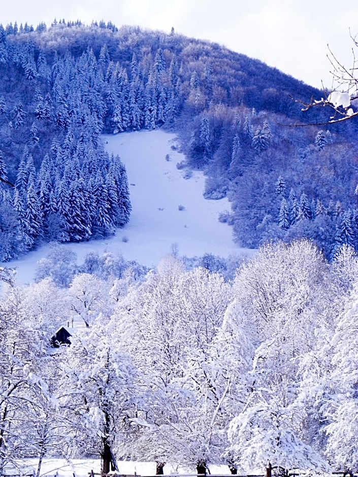 Vila Carpathia