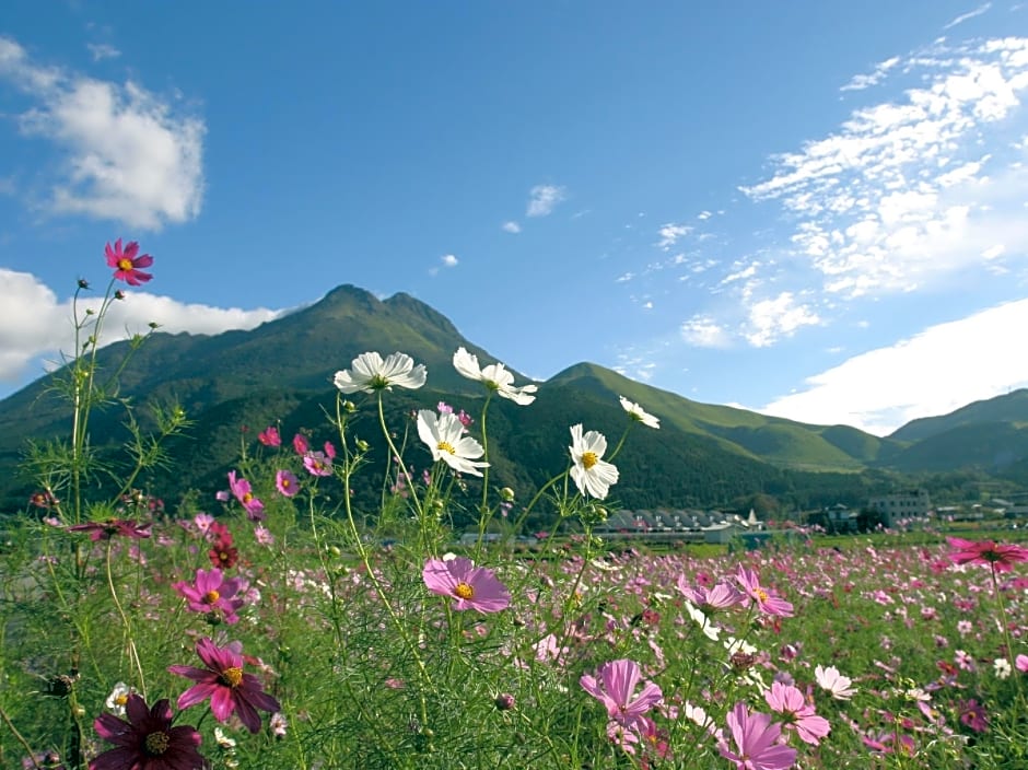 Yufuin Ryokan Nogiku