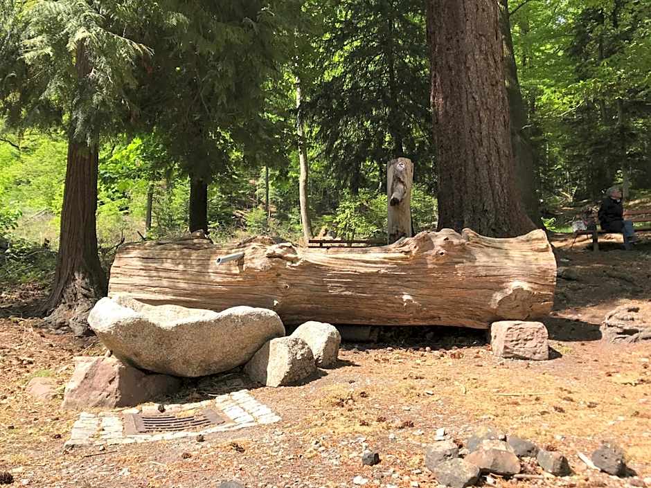 Kull Von Schmidsfelden Hotel