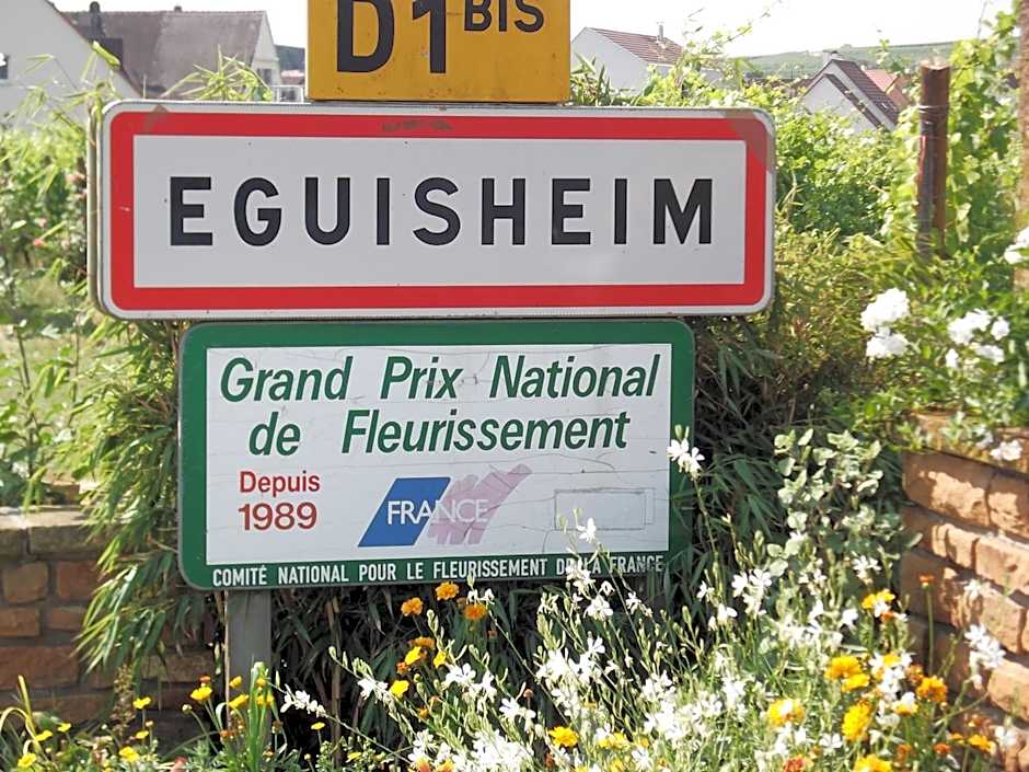James Vignoble Hôtel - Eguisheim