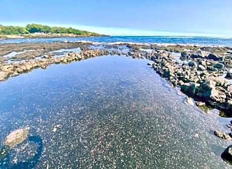 Beachfront 1 Bedroom Condo with Private Beach, Pool, Hot Tub