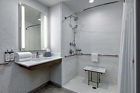 2 Queen Standard Mobility Accessible Roll in Shower