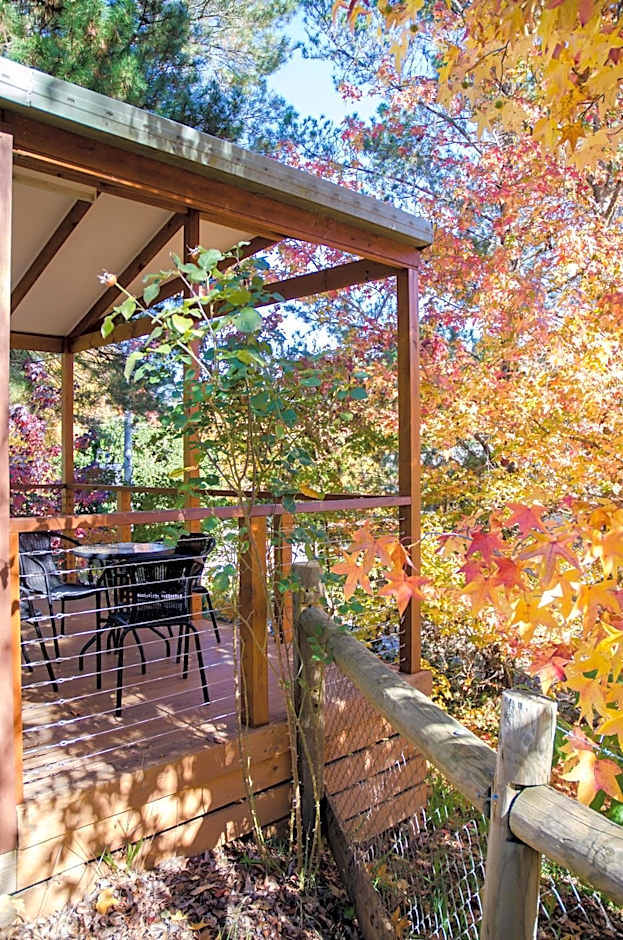 BIG4 Tasman Holiday Parks - Bright
