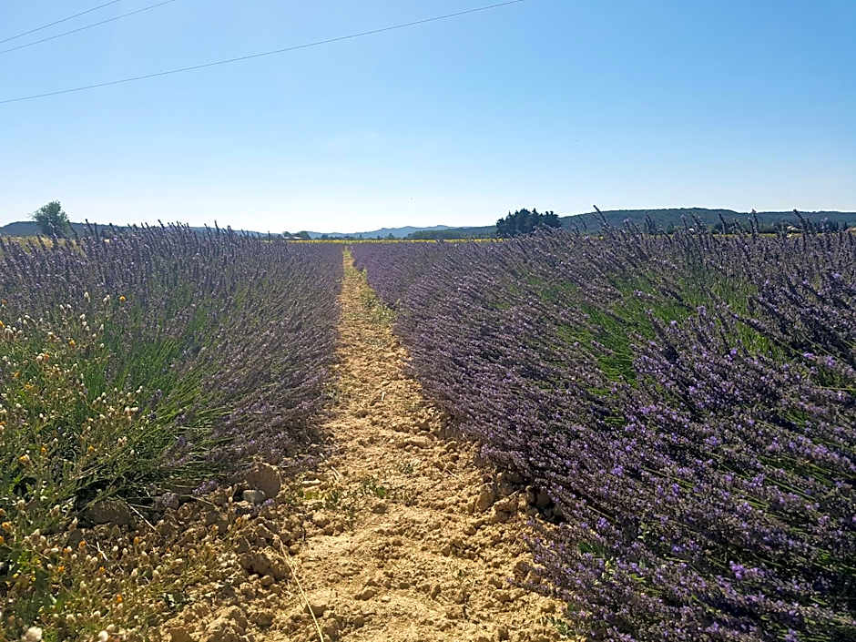 Les Buisses en Provence