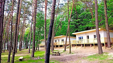 Jeleń