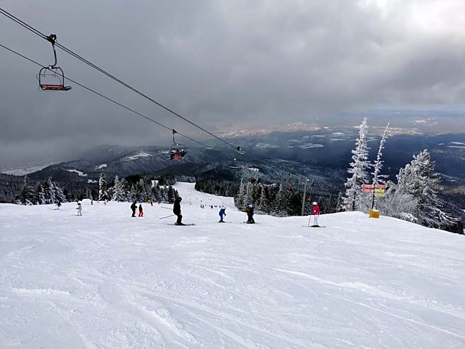 Cozy Mountain Apartment